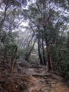 伊勢の旅①