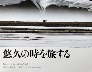 自然のサイクルに意識を向ける