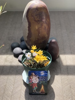春分おめでとう！
