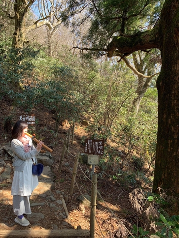 春分の日