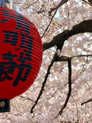 清明節〜お墓参り〜